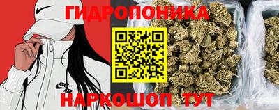ГАЛЛЮЦИНОГЕННЫЕ ГРИБЫ Новодвинск