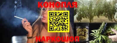 гашик Новозыбков