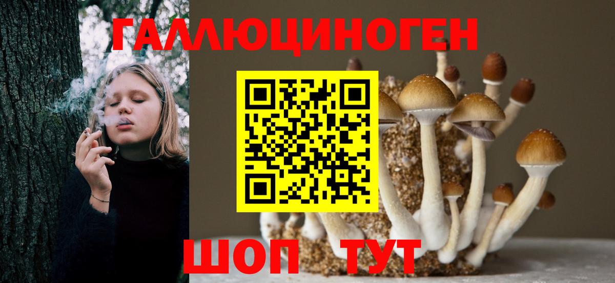 Энгельс  Галлюциногенные грибы GOLDEN TEACHER  Вход с VPN 